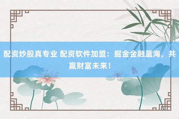 配资炒股真专业 配资软件加盟：掘金金融蓝海，共赢财富未来！