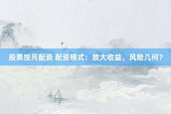 股票按月配资 配资模式：放大收益，风险几何？