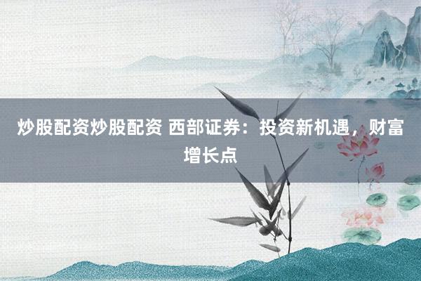 炒股配资炒股配资 西部证券：投资新机遇，财富增长点