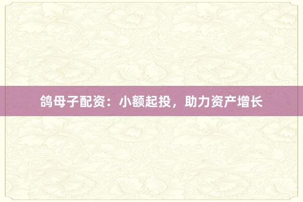 鸽母子配资：小额起投，助力资产增长