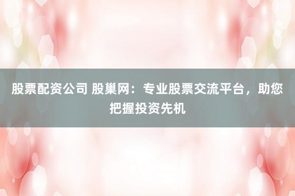 股票配资公司 股巢网：专业股票交流平台，助您把握投资先机