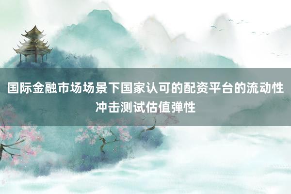 国际金融市场场景下国家认可的配资平台的流动性冲击测试估值弹性