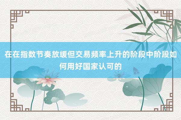 在在指数节奏放缓但交易频率上升的阶段中阶段如何用好国家认可的